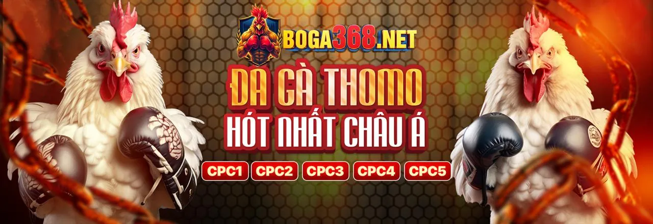 Chương trình hoàn trả cược không giới hạn Bong88